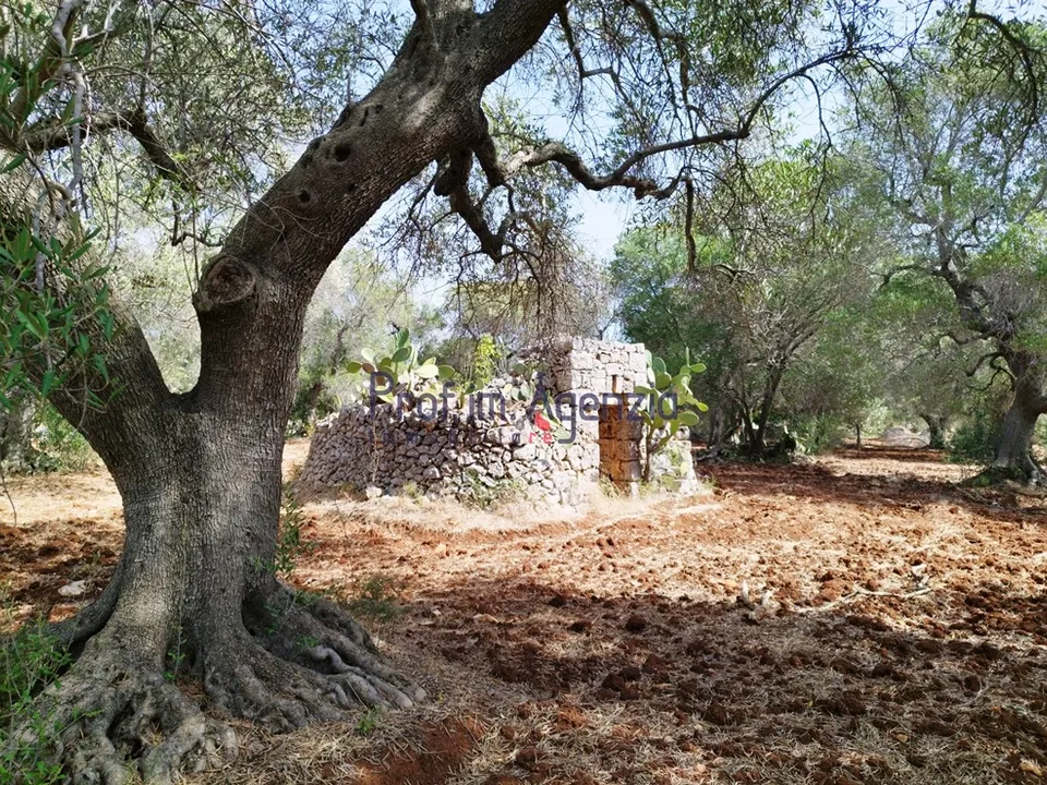 Landejendom i San Vito dei Normanni, Brindisi - foto 2